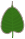 Bodhi leaf